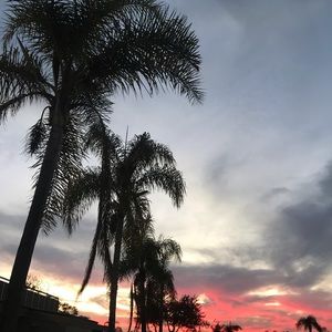 Meet your Posher, Allyson